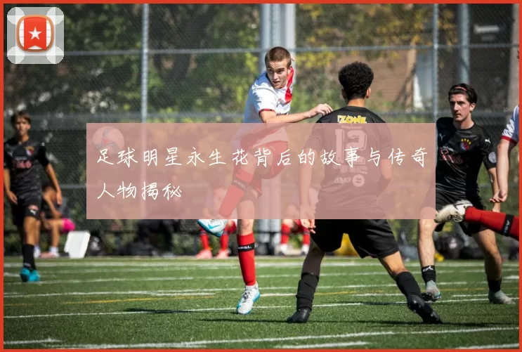 足球明星永生花背后的故事与传奇人物揭秘