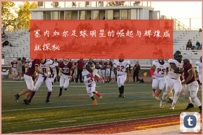 塞内加尔足球明星的崛起与辉煌成就探秘