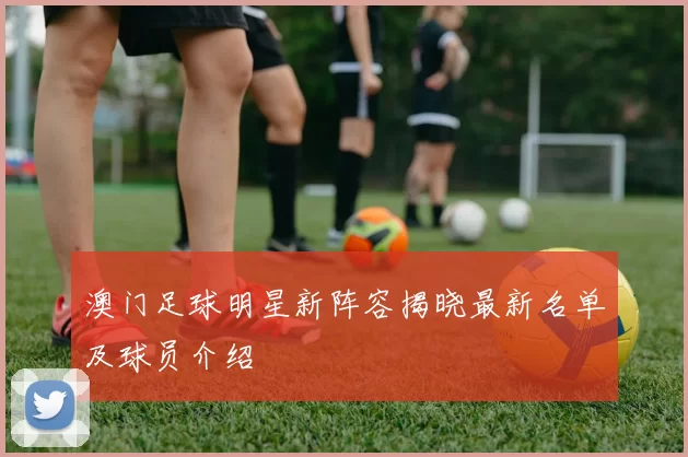 澳门足球明星新阵容揭晓最新名单及球员介绍