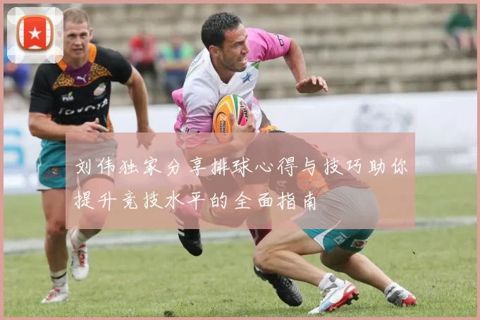 刘伟独家分享排球心得与技巧助你提升竞技水平的全面指南