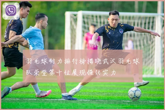 羽毛球耐力排行榜揭晓武汉羽毛球队荣登第十位展现强劲实力