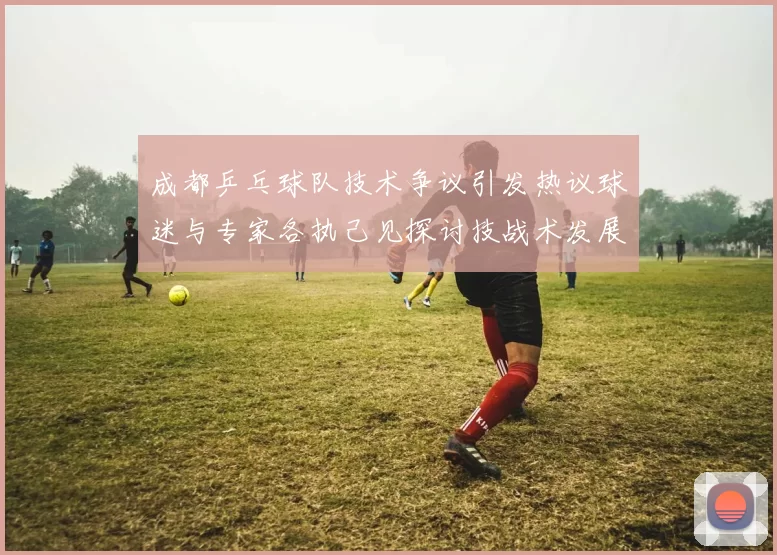 成都乒乓球队技术争议引发热议球迷与专家各执己见探讨技战术发展