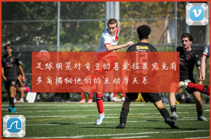 足球明星对肯豆的喜爱程度究竟有多高揭秘他们的互动与关系