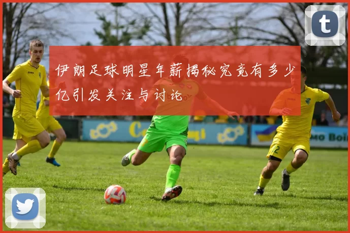 伊朗足球明星年薪揭秘究竟有多少亿引发关注与讨论
