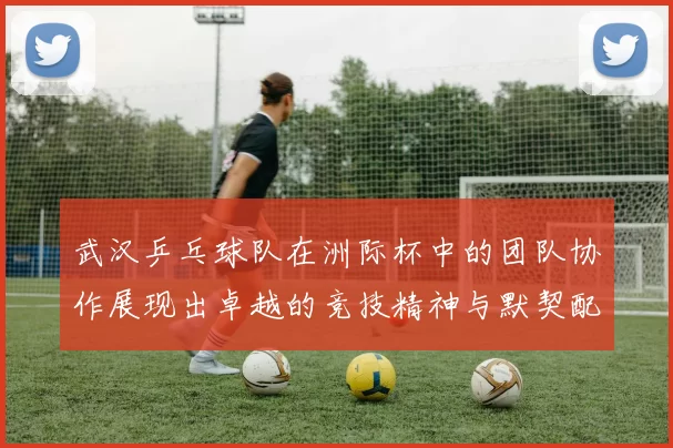 武汉乒乓球队在洲际杯中的团队协作展现出卓越的竞技精神与默契配合