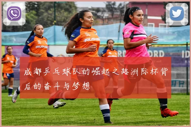 成都乒乓球队的崛起之路洲际杯背后的奋斗与梦想