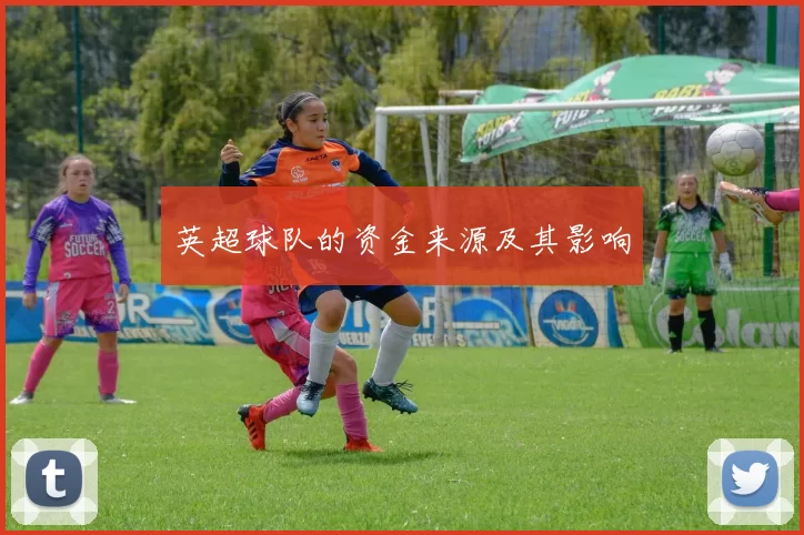 英超球队的资金来源及其影响