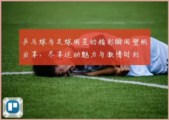 乒乓球与足球明星的精彩瞬间壁纸分享，尽享运动魅力与激情时刻