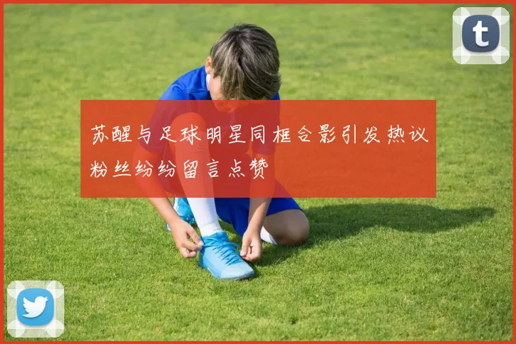 苏醒与足球明星同框合影引发热议粉丝纷纷留言点赞