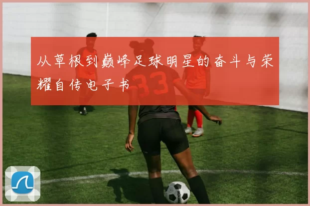 从草根到巅峰足球明星的奋斗与荣耀自传电子书