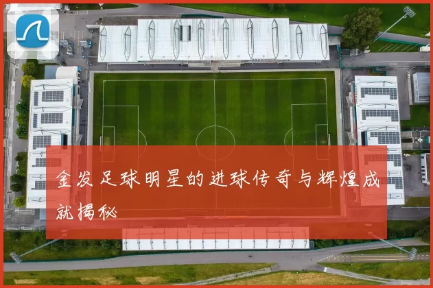 金发足球明星的进球传奇与辉煌成就揭秘