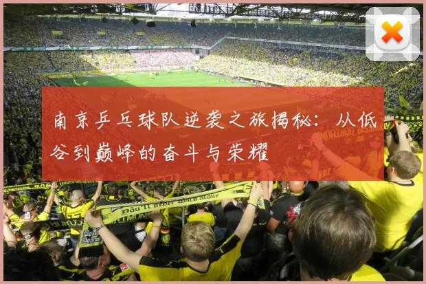 南京乒乓球队逆袭之旅揭秘：从低谷到巅峰的奋斗与荣耀