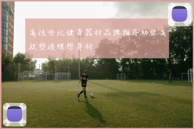 高性价比健身器材品牌推荐助你高效塑造理想身材