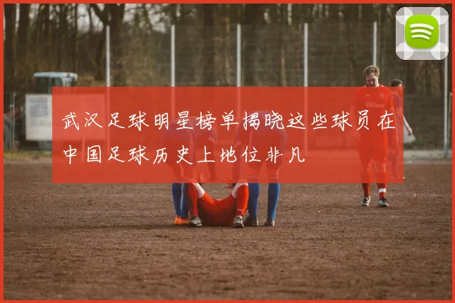 武汉足球明星榜单揭晓这些球员在中国足球历史上地位非凡