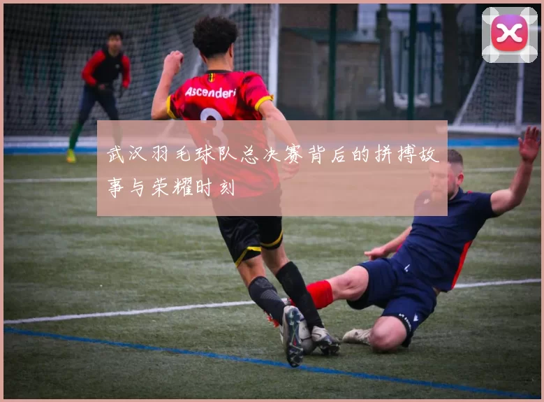 武汉羽毛球队总决赛背后的拼搏故事与荣耀时刻