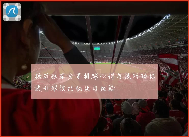 杨芳独家分享排球心得与技巧助你提升球技的秘诀与经验