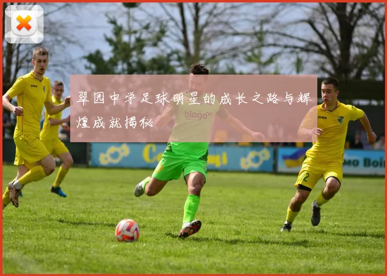 翠园中学足球明星的成长之路与辉煌成就揭秘