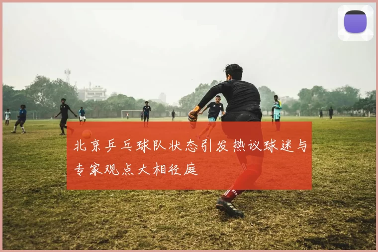 北京乒乓球队状态引发热议球迷与专家观点大相径庭